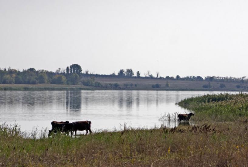 Златоустівка з panoramio.com - Златоустівка