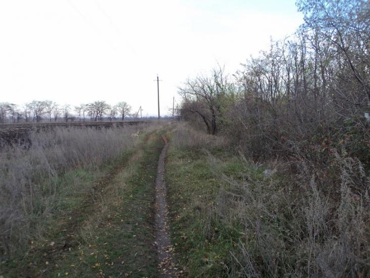 Дачне з panoramio.com - Dachne