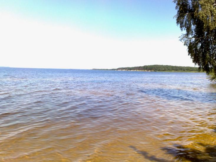 Хоцьки з panoramio.com - Хоцьки