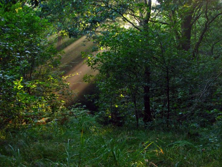 Завій з panoramio.com - Завой