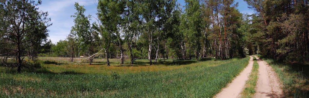 Таганка з panoramio.com - Таганка