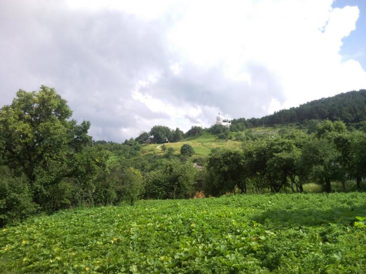 Гринів з panoramio.com - Гринів