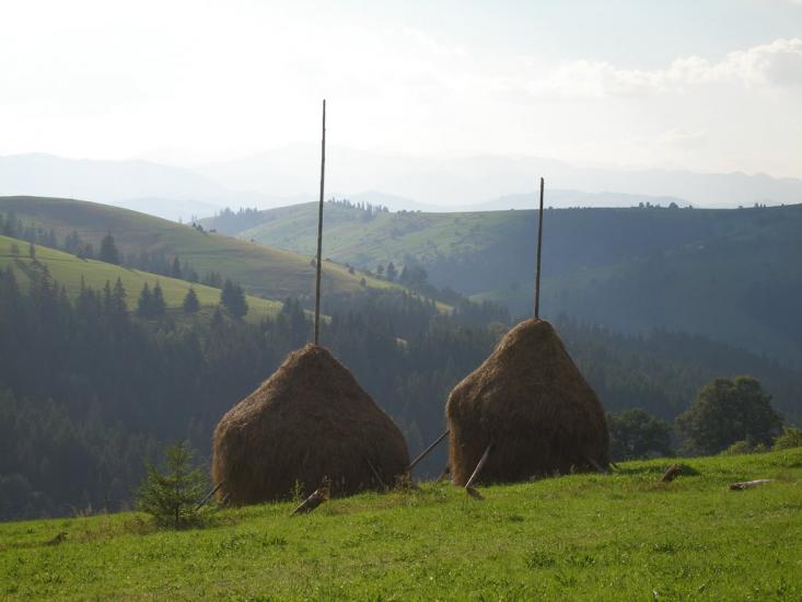 Рижа з panoramio.com - Рижа