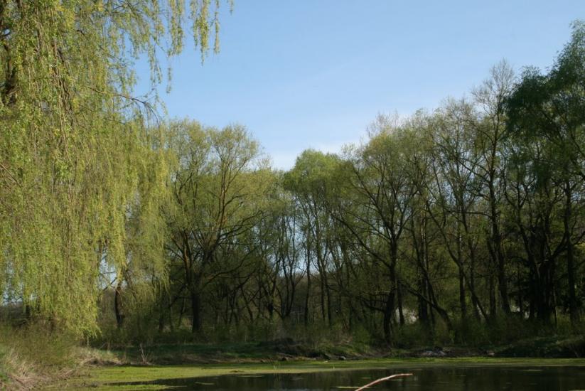 Городенка з panoramio.com - Horodenka