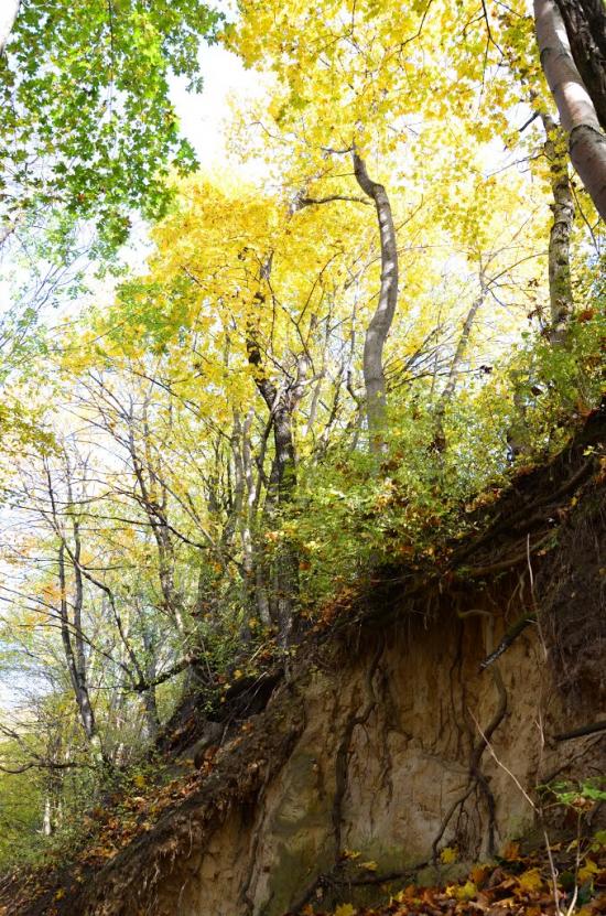Поморяни з panoramio.com - Поморяны
