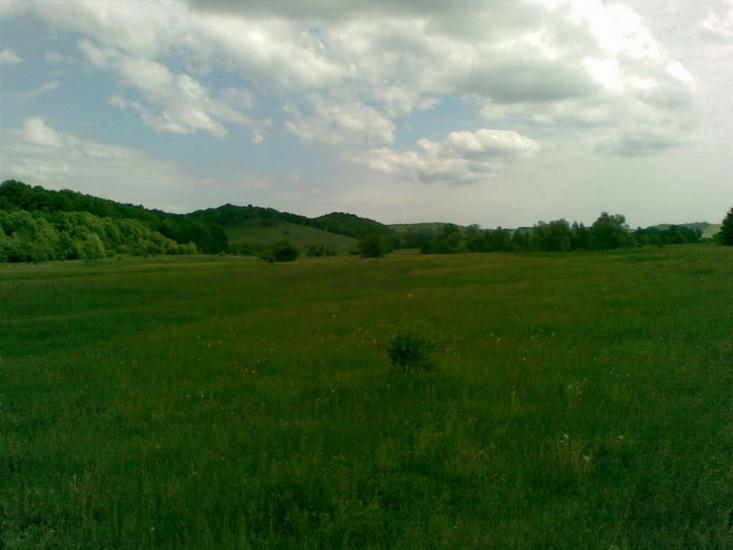 Велика Рибиця з panoramio.com - Великая Рыбица