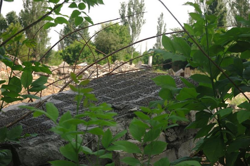 Мала Білозерка з panoramio.com - Мала Білозерка