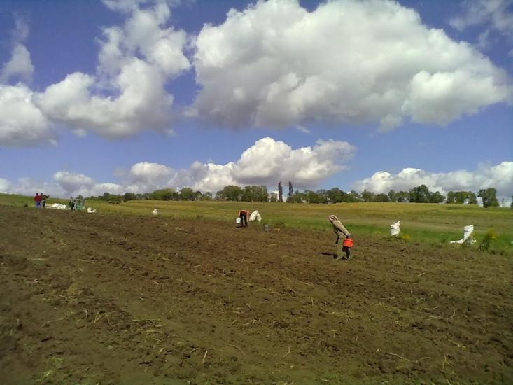 Білогір'я з panoramio.com - Білогір'я