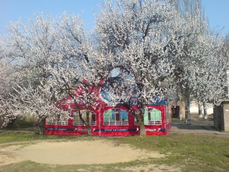 Гірник з panoramio.com - Гірник
