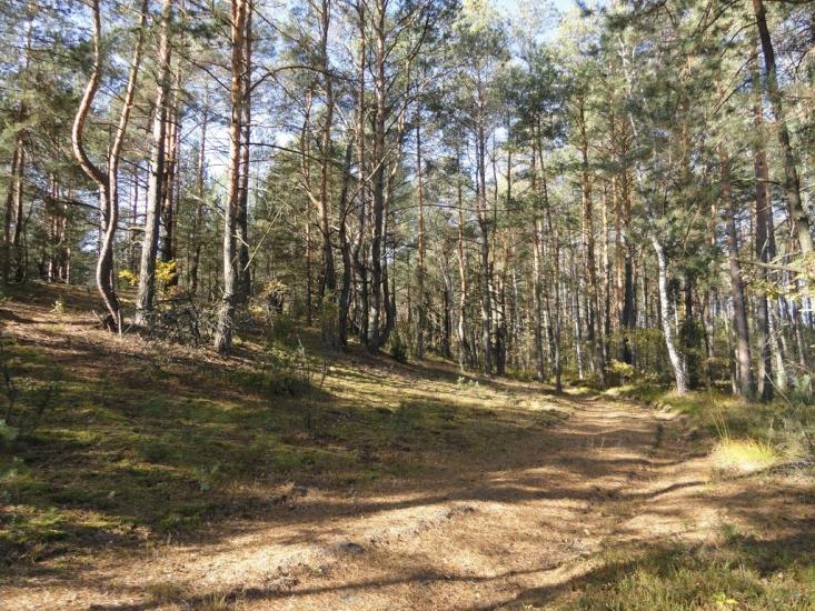 Хрипськ з panoramio.com - Хрипск