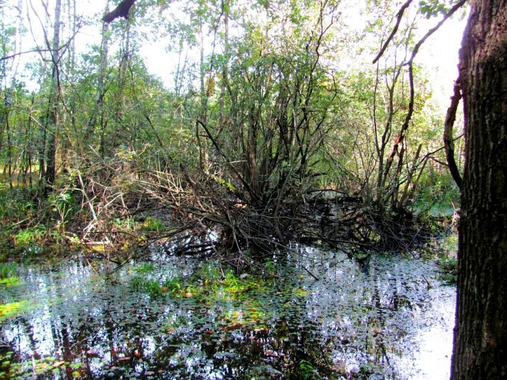 Ромейки з panoramio.com - Ромейки