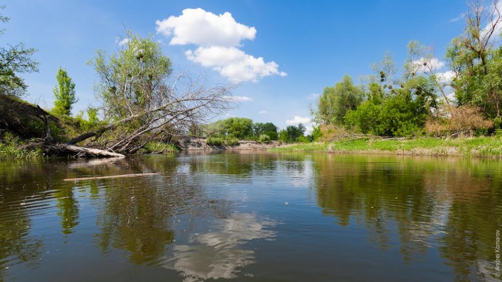 Норцівка з panoramio.com - Nortsivka