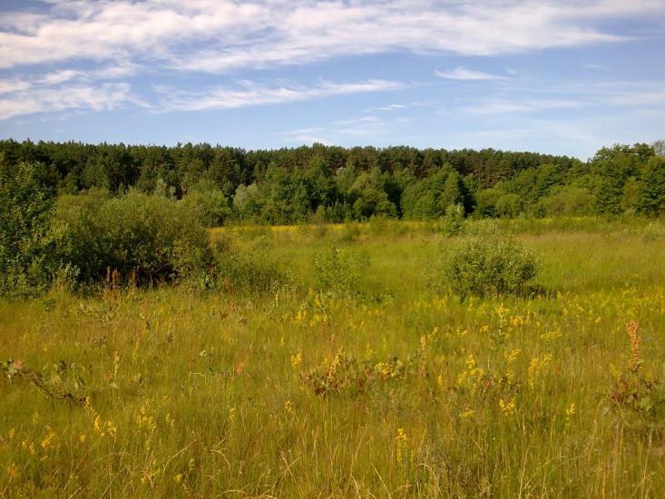 Погорілівка з panoramio.com - Pogorilivka