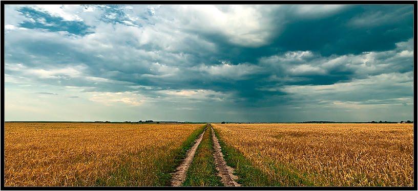 Вочківці з panoramio.com - Вочковцы