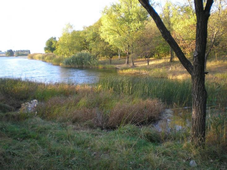 Добропілля з panoramio.com - Доброполье