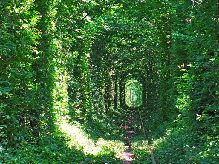Клевань з panoramio.com - Klevan