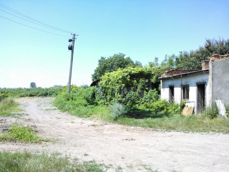 Ракошино з panoramio.com - Ракошино