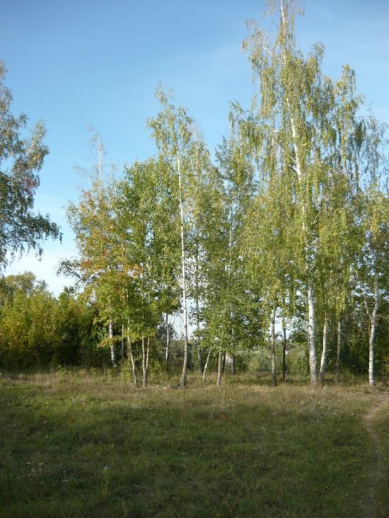 Білопілля з panoramio.com - Белополье