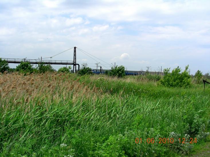 Вільне з panoramio.com - Вольное