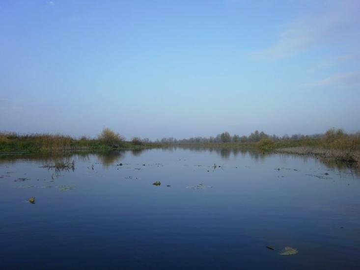 Вища Дубечня з panoramio.com - Высшая Дубечня