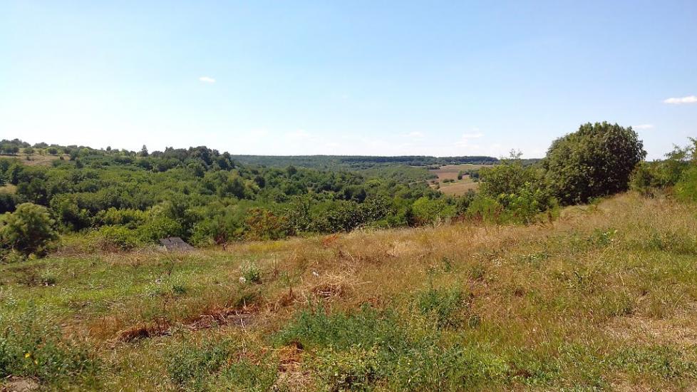 Моринці з panoramio.com - Moryntsi