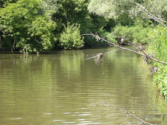 Червона Зоря з panoramio.com - Червоная Зоря