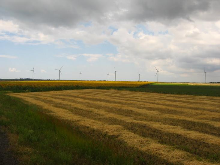Солончаки з panoramio.com - Solonchaky
