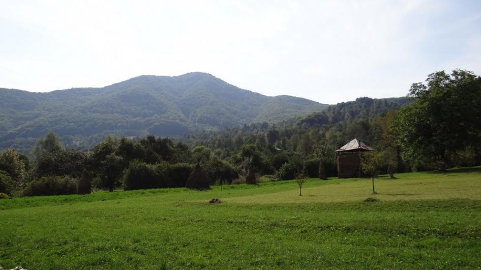 Луг з panoramio.com - Луг