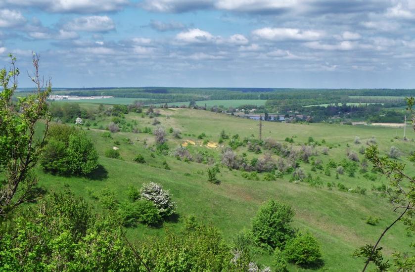Дмитрівка з panoramio.com - Дмитрівка