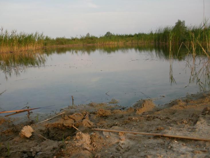 Римачі з panoramio.com - Рымачи