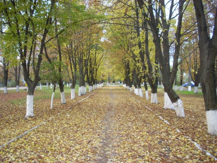 Біляївка з panoramio.com - Беляевка
