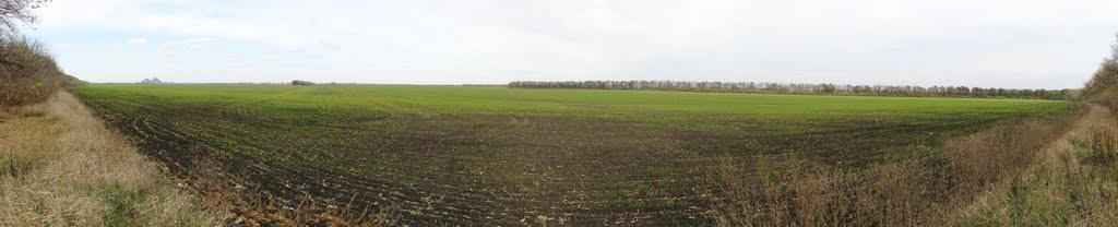 Новогродівка з panoramio.com - Новогродовка