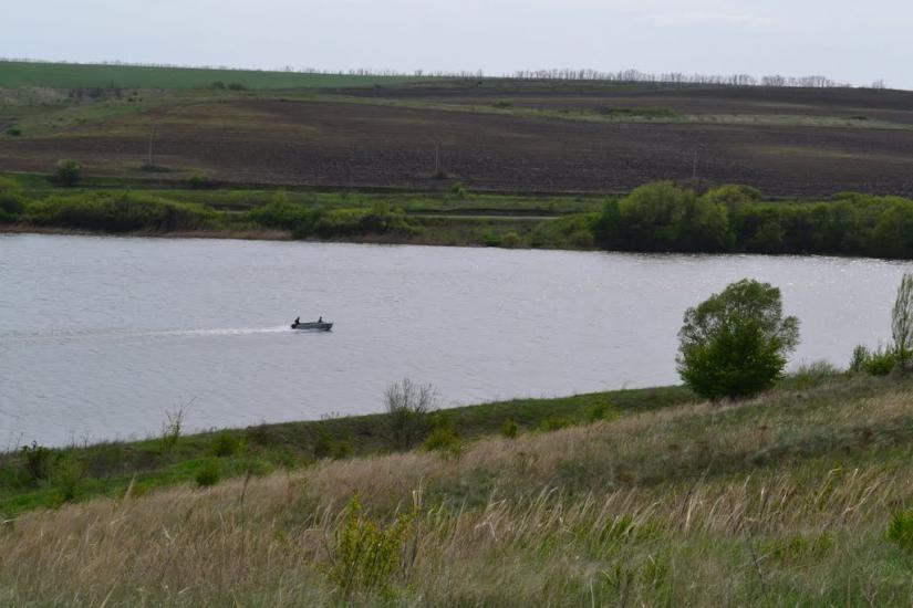 Новопетрівське з panoramio.com - Новопетровское