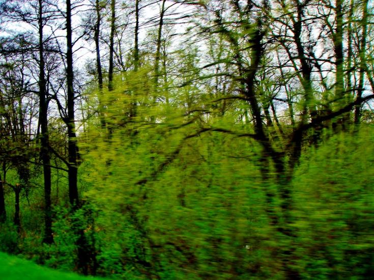 Шкарівка з panoramio.com - Шкаровка