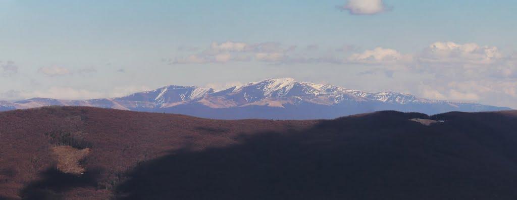 Синяк з panoramio.com - Синяк