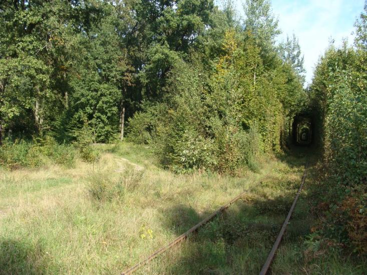 Клевань з panoramio.com - Klevan