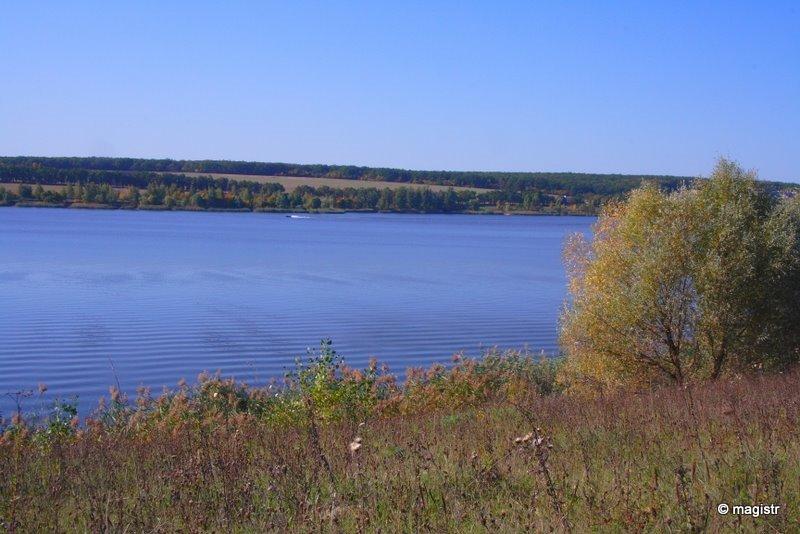 Липці з panoramio.com - Lyptsi