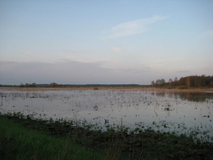 Кузьки з panoramio.com - Кузьки