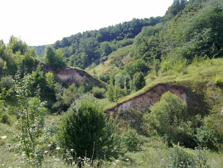 Блищанівка з panoramio.com - Блещановка