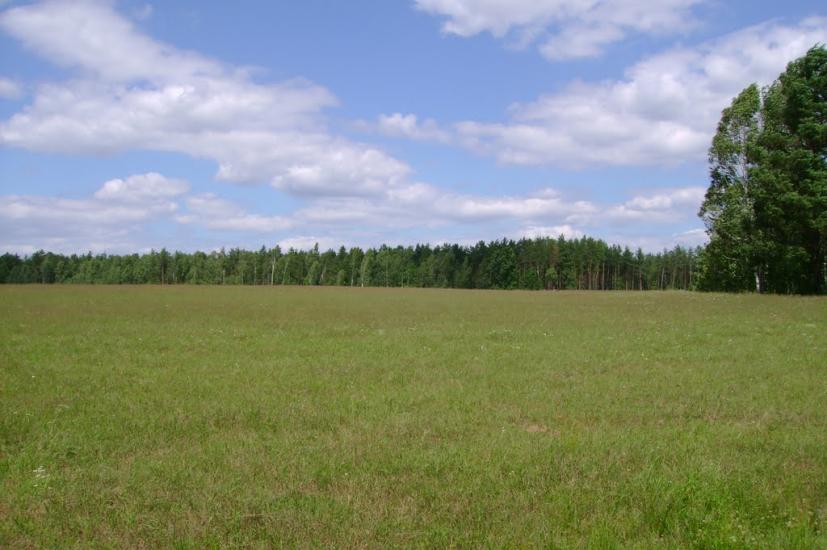 Лісове з panoramio.com - Lisove