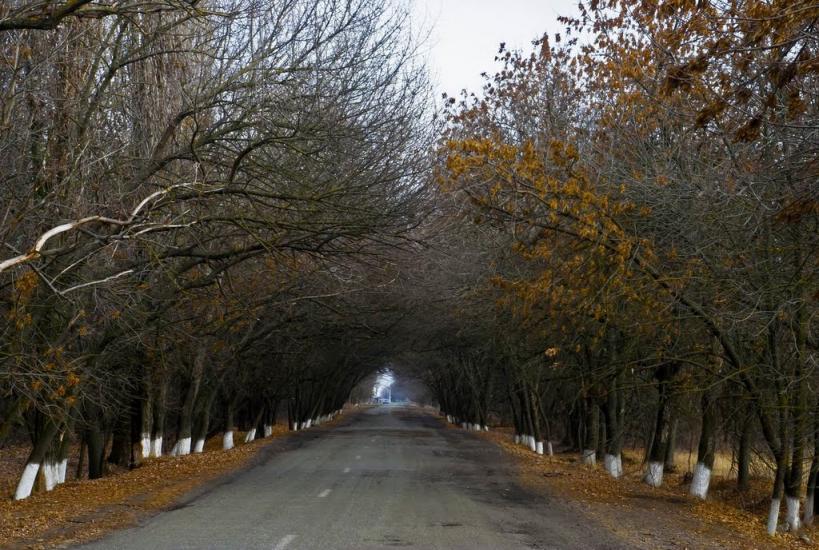 Вільне з panoramio.com - Вільне