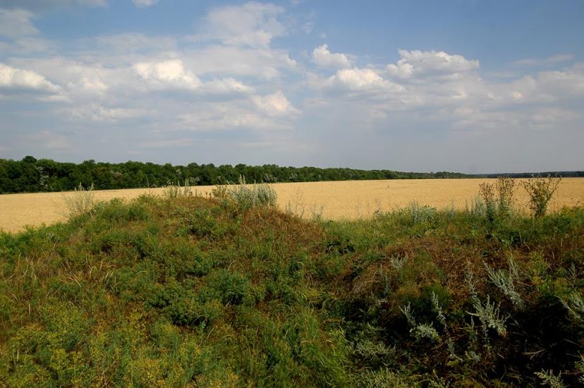 Весела Долина з panoramio.com - Весела Долина