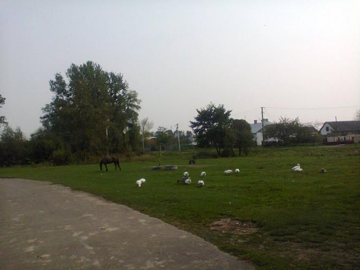 Сушно з panoramio.com - Сушно