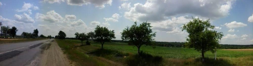 Данківці з panoramio.com - Данківці