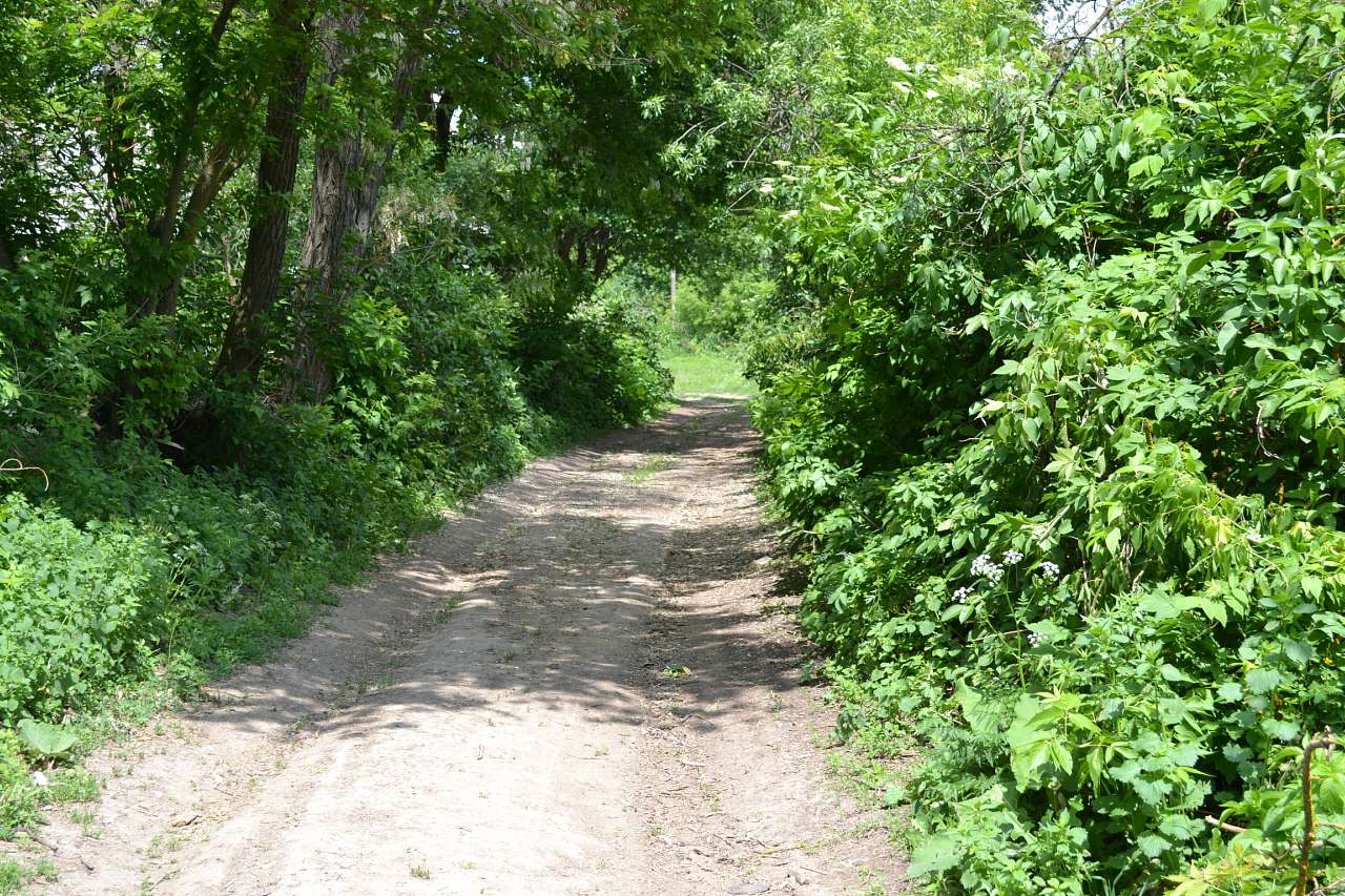 рогачі - Рогачі