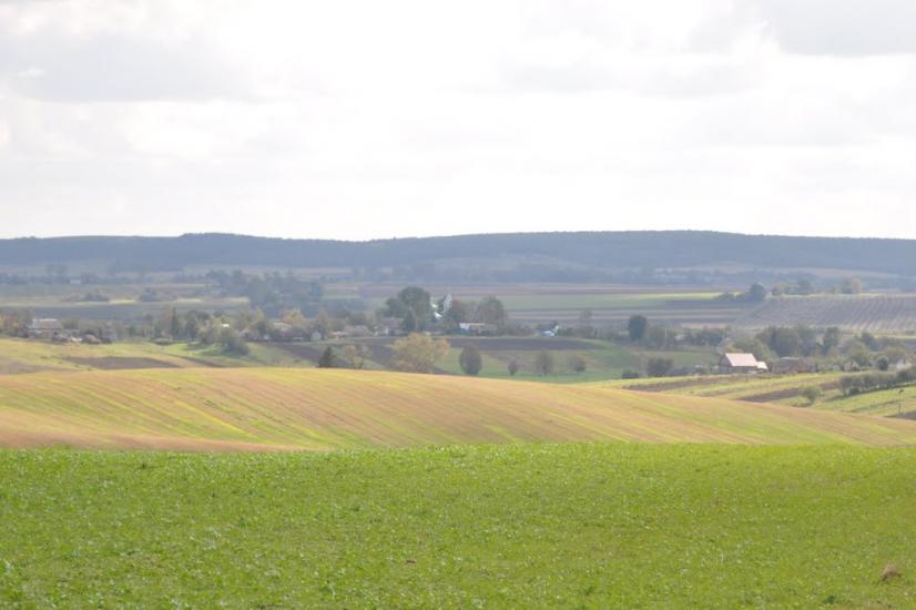 Заріцьк з panoramio.com - Заріцьк