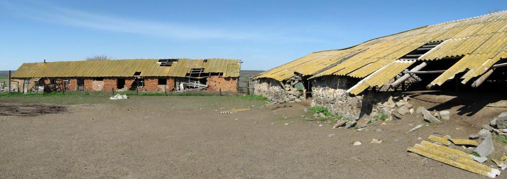 Осипенко з panoramio.com - Осипенко
