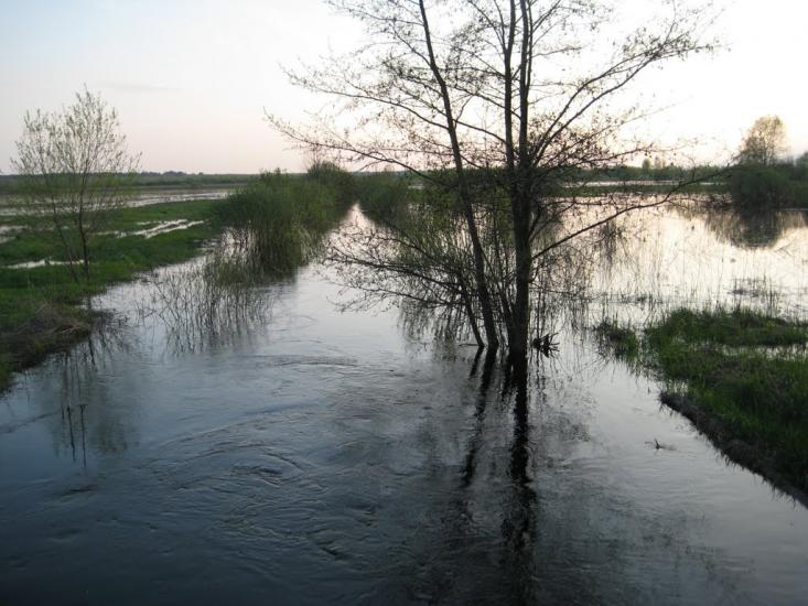 Кузьки з panoramio.com - Кузьки