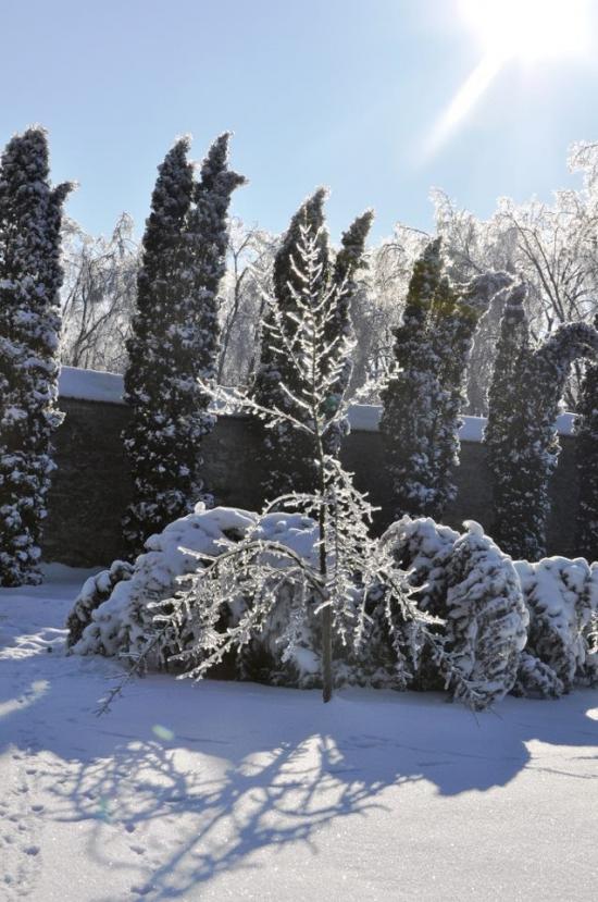 Крехів з panoramio.com - Крехів