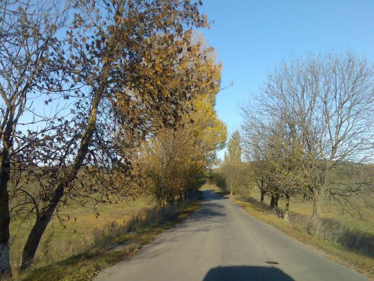 Пашківці з panoramio.com - Пашковцы